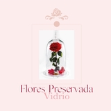 Imagen de la categoría DOMOS DE VIDRIO 