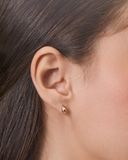 Imagen de la categoría ARETES