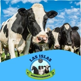 Imagen de la categoría CONCENTRADOS PARA GANADERIA