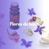 Imagen de la categoría Flores de Bach
