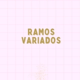 Imagen de la categoría RAMOS VARIADOS