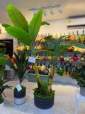 Imagen de la categoría PLANTAS ARTIFICIALES