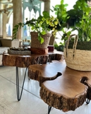 Imagen de la categoría MOBILIARIO