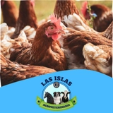 Imagen de la categoría CONCENTRADOS PARA AVICULTURA