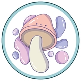 Imagen de la categoría KAWAI