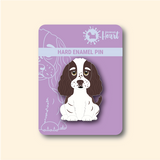 Imagen de la categoría PINES SPRINGER SPANIEL 