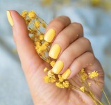 Imagen de la categoría Esmaltes y Uñas
