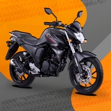 Imagen de la categoría FZ-S 2.0