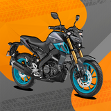 Imagen de la categoría MT 15