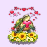 Imagen de la categoría TORTUGAS 