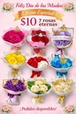 Imagen de la categoría Ramos eternos 7 rosas