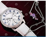 Imagen de la categoría RELOJES Y JOYERIAS 