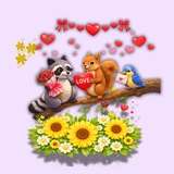 Imagen de la categoría MAPACHES Y ARDILLAS 