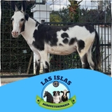 Imagen de la categoría VENTA DE SERVICIOS