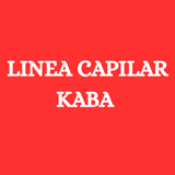 Imagen de la categoría LINEA CAPILAR KABA