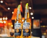 Imagen de la categoría Cerveza Importada