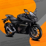 Imagen de la categoría GIXXER 250 - SF