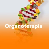 Imagen de la categoría Organoterapia