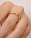 Imagen de la categoría COMPROMISO