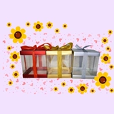 Imagen de la categoría CAJAS DE ACETATO