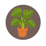 Imagen de la categoría BESTSELLERS