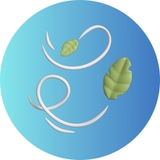 Imagen de la categoría AMBIENTADORES