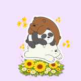 Imagen de la categoría OSOS ESCANDALOSOS 