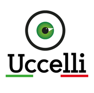Uccelli Optical SAS