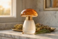 CHAMPIGNON