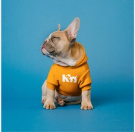 Kninos Grooming